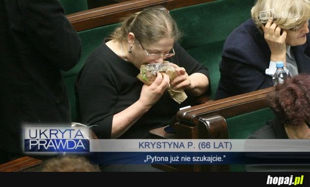 Pytona już nie szukajcie