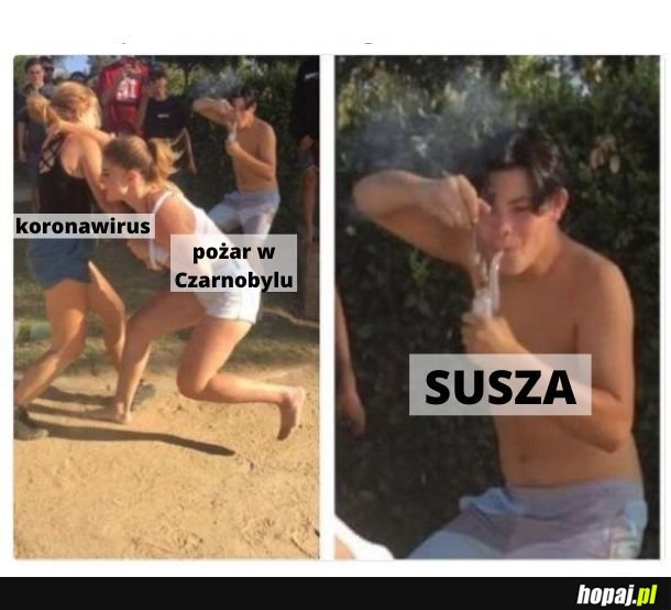 Zobaczycie latem