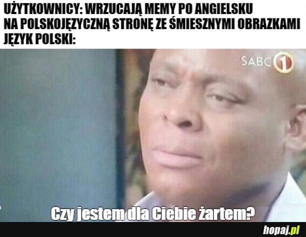 Polacy nie gęsi, swoje memy mają