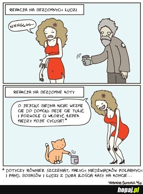Reakcje na bezdomne koty