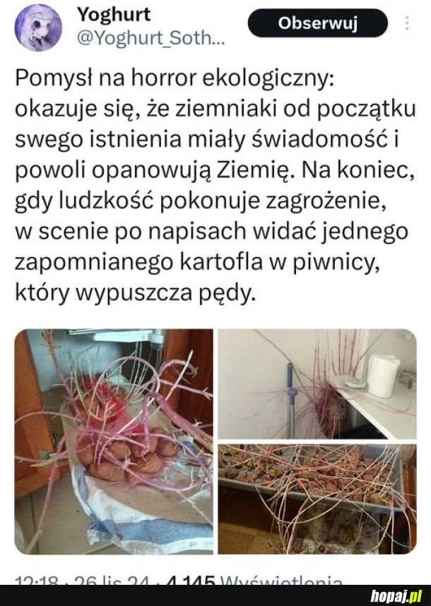 Oglądałabym