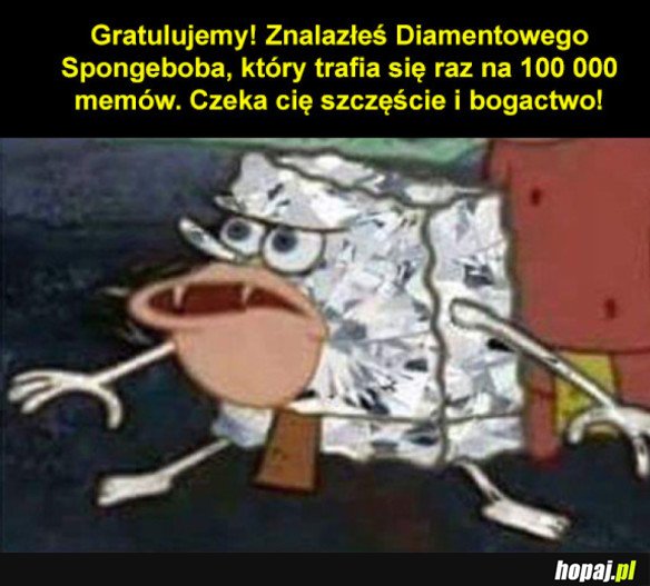 Gratulacje