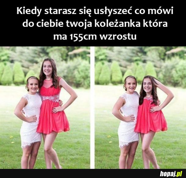 Niska koleżanka