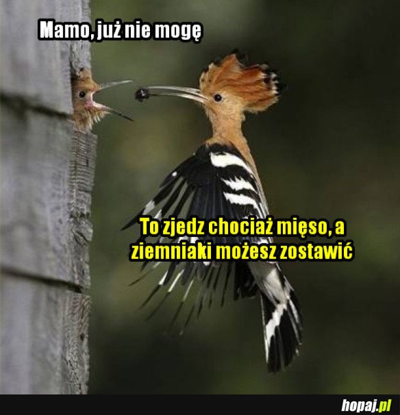 Mamy takie są