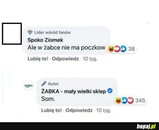 Poczki