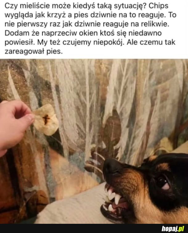 Tak było
