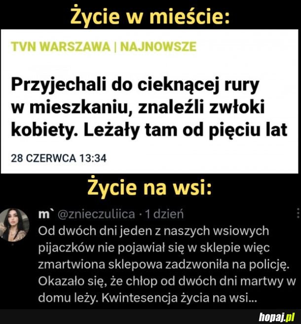 Życie w mieście vs życie na wsi