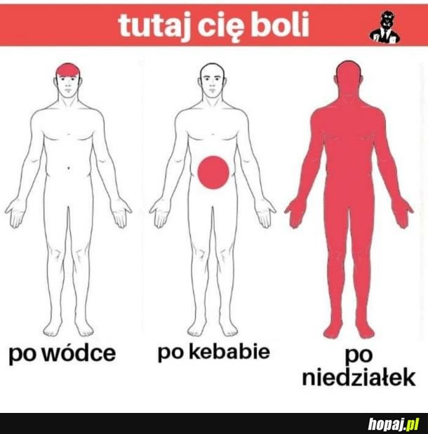 Tutaj boli