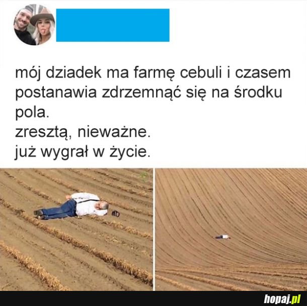 Jak Boryna w Chłopach