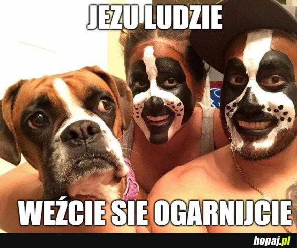 ZDEGUSTOWANY PIESEŁ