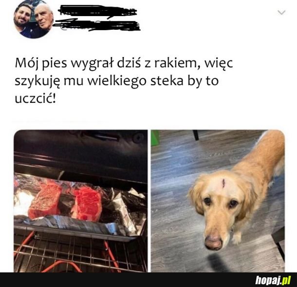 Gratulacje dla pieska! 