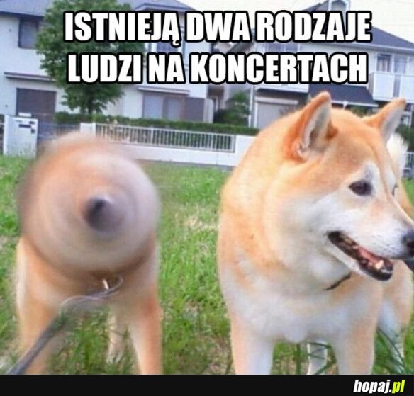 Dwa rodzaje ludzi