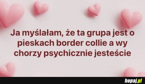 Też border, ale inny xD