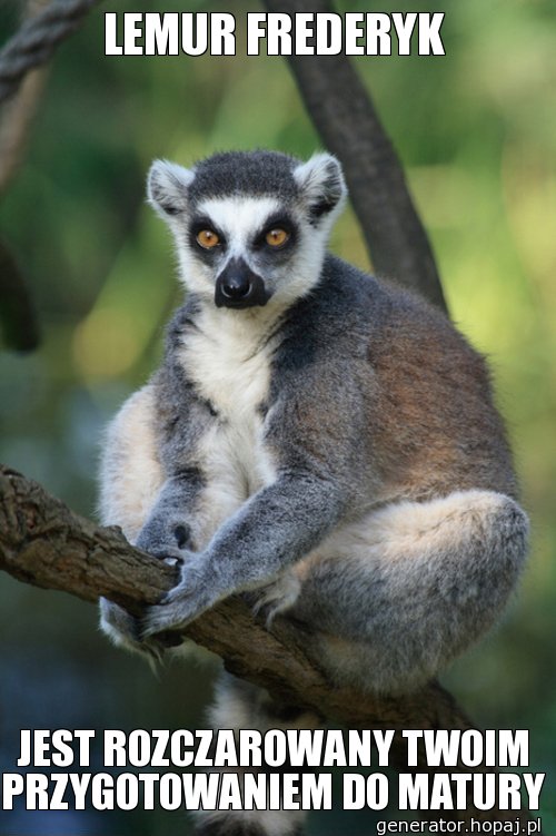 LEMUR FREDERYK