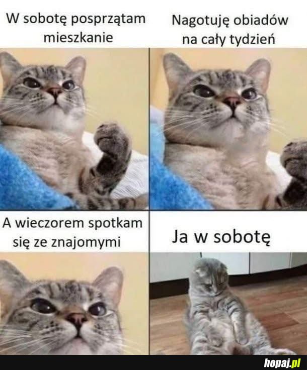 Plany, plany i po planach