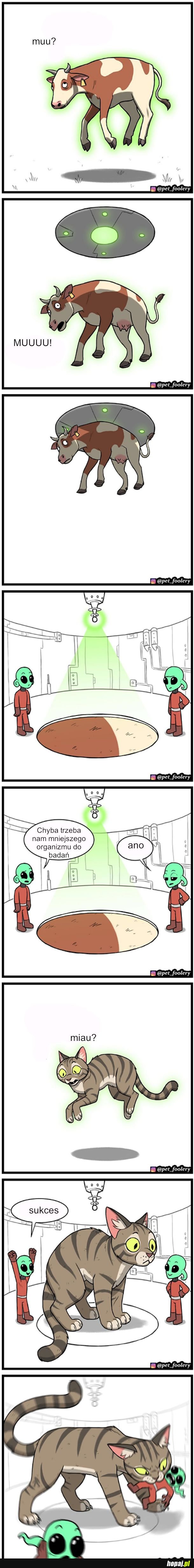 Badania kosmitów