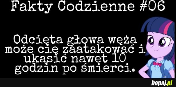 Fakty Codzienne #6