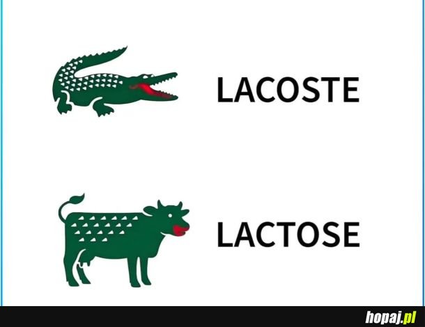 Jak nie widać różnicy to po co przepłacać