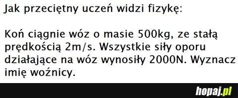 Ja przeciętny uczeń widzi fizykę?