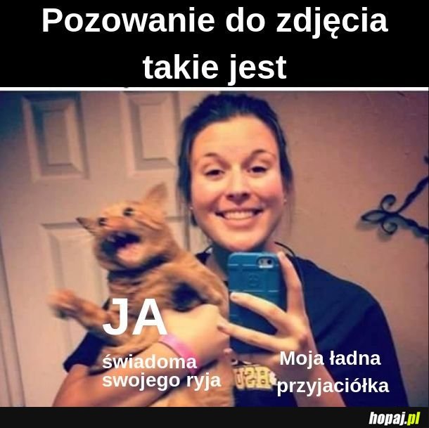  Zdjecie 