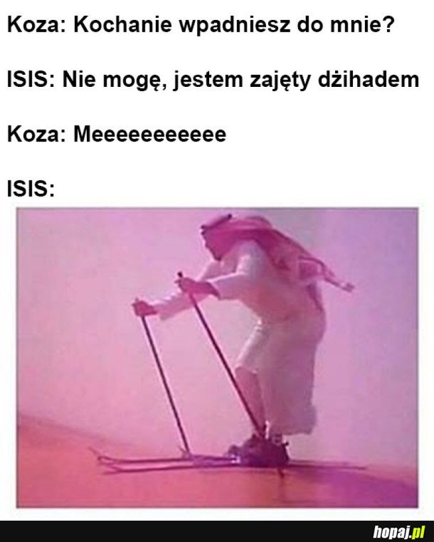 KOZY ZNAJĄ NA NICH SPOSÓB