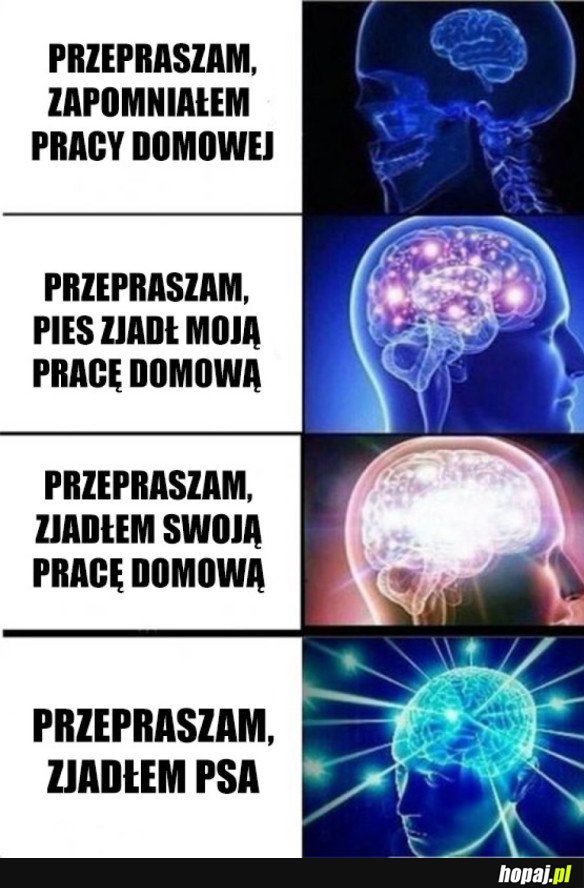 A PRACY DOMOWEJ DALEJ NIE MA