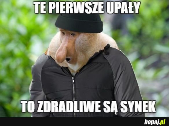 Załóż czapkie