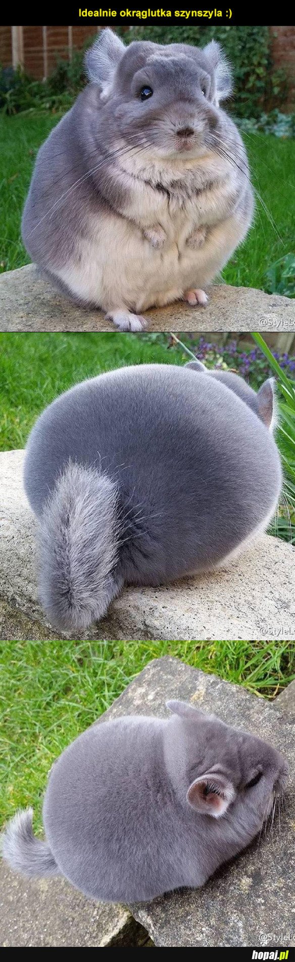 KULECZKA