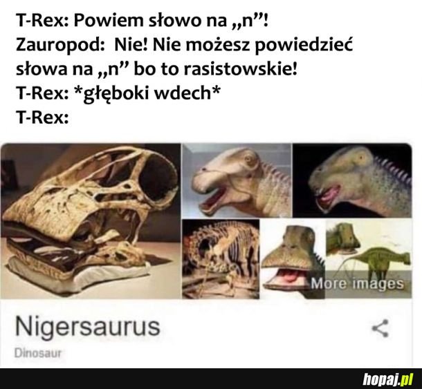 Słowo na n