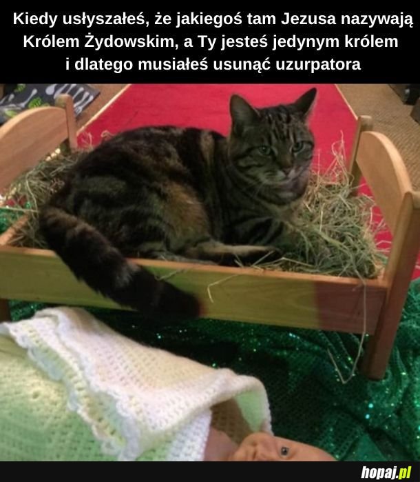 Koteł-piłaten