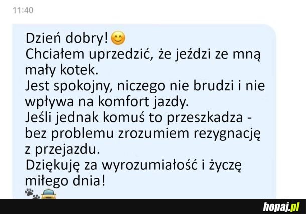 Taksówkarz z kotkiem