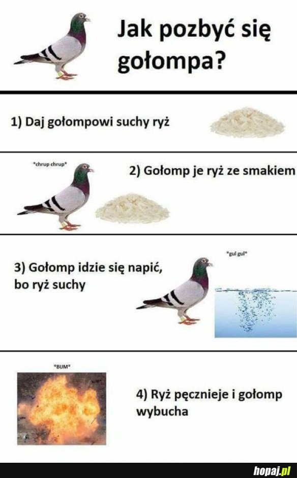 DOBRY TRIK POLECAM