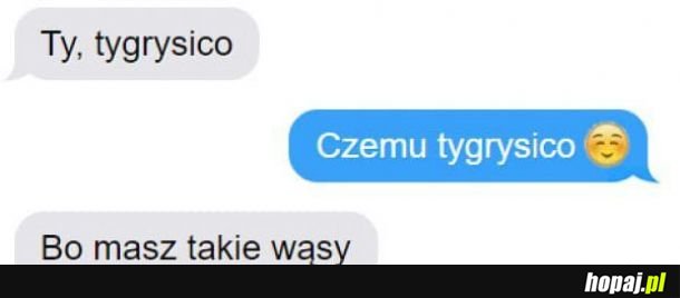 Mistrz podrywu