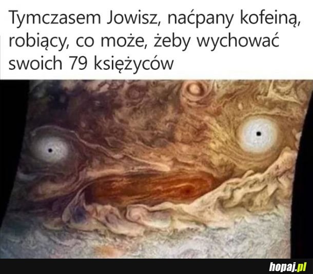 Podziwiam biedaka