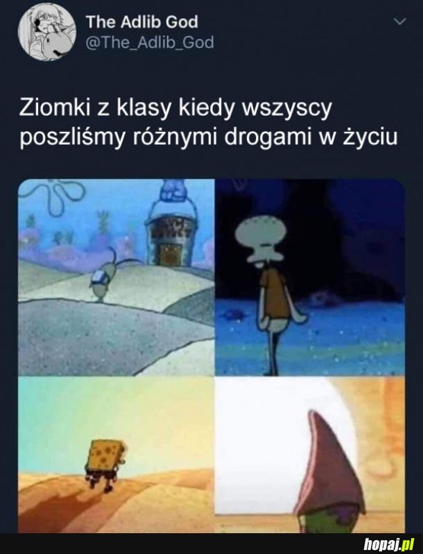 Ziomki