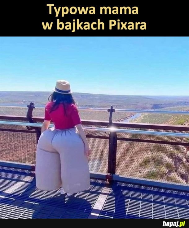 Typowa mama w bajkach Pixara