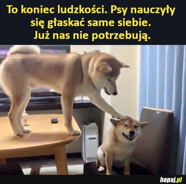 To koniec