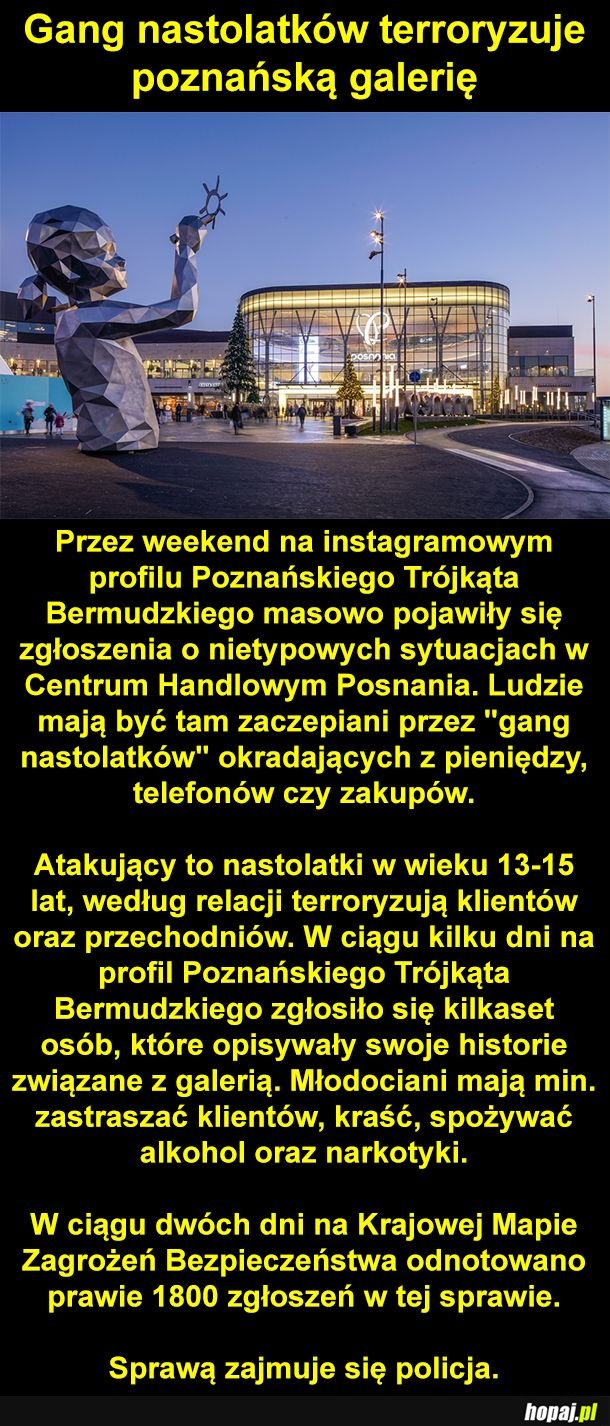 Gang nastolatków w Poznaniu