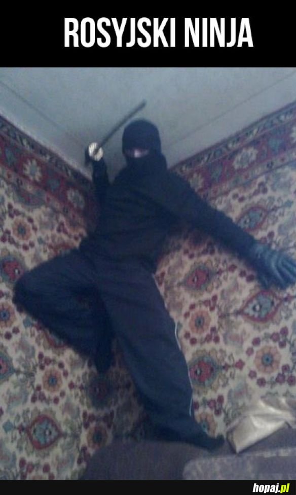 Ninja