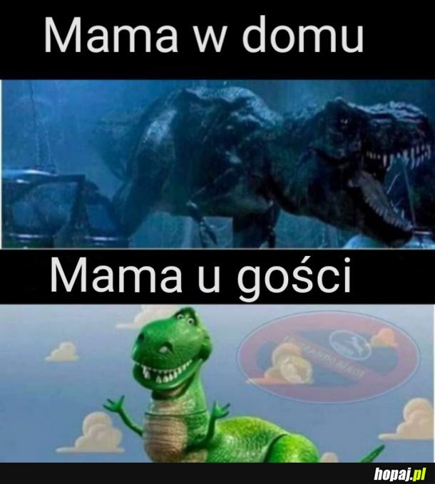 Drobna różnica 