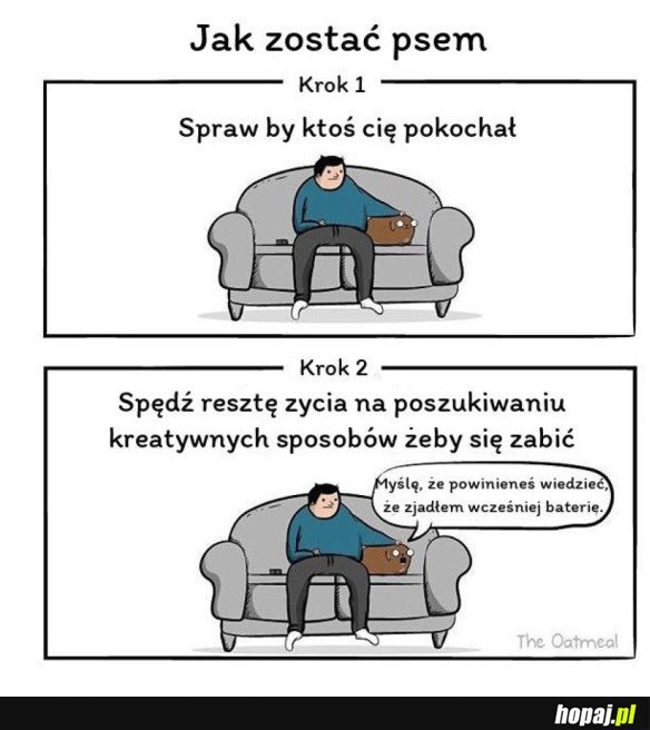 JAK ZOSTAĆ PSEM