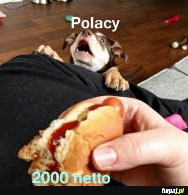 Tak to wygląda