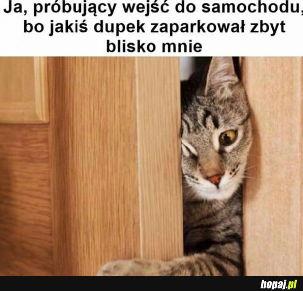 Parkowanie samochodu