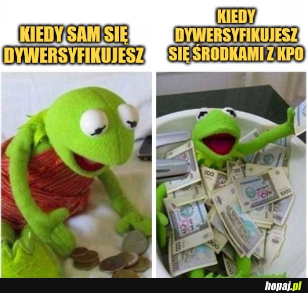 Dywersyfikacja. 