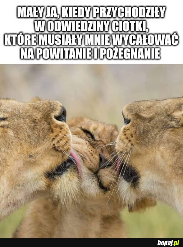 Zostawcie mnie już 