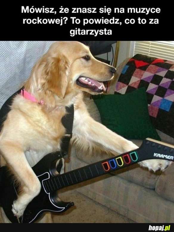 ZNANY GITARZYSTA