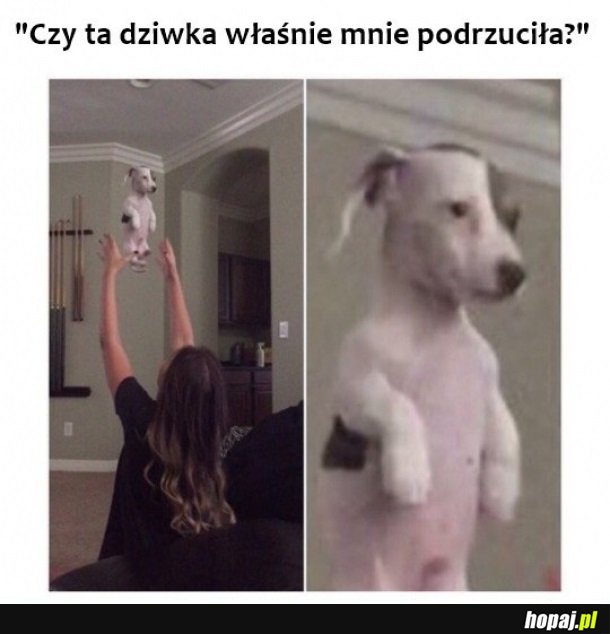 Co jest?