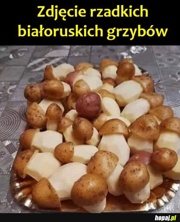 Białoruskie grzybki