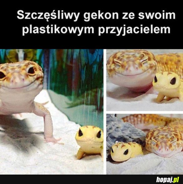 ILE RADOŚCI