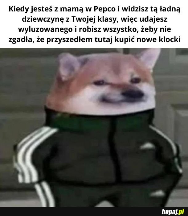 Dziewczyny odchodzą. Klocki zostają.